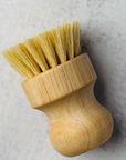 Dish Brush Small