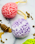 Manuka Honey Soap Infused Sponges