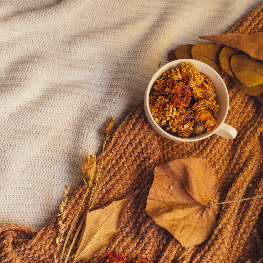 Transform Your Home for Fall: Embrace Cozy Comfort and Natural Scents