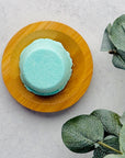 Eucalyptus & Menthol Shower Steamers (6 Pack)