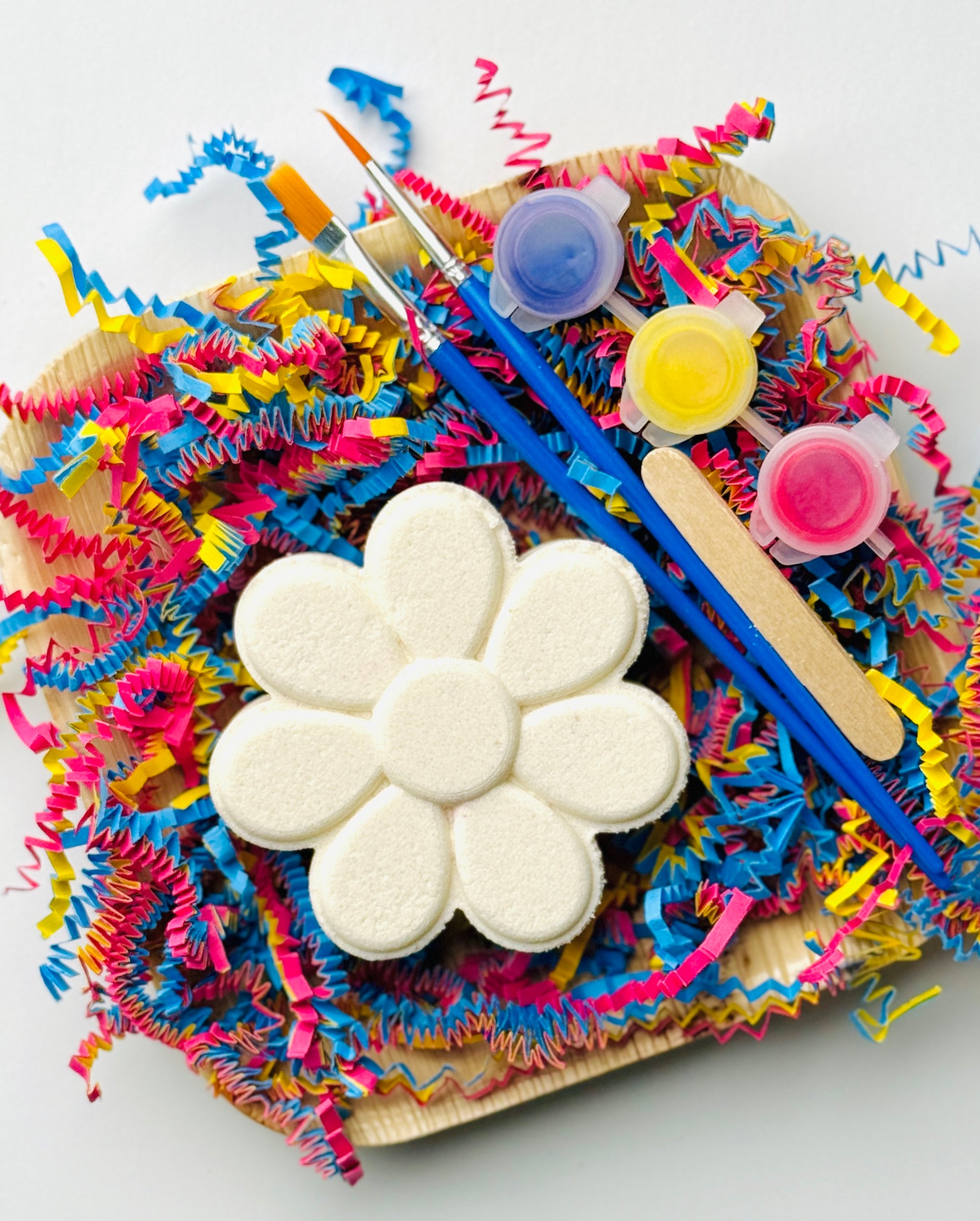 Paint Your Own Bath Bomb Kit