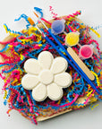Paint Your Own Bath Bomb Kit